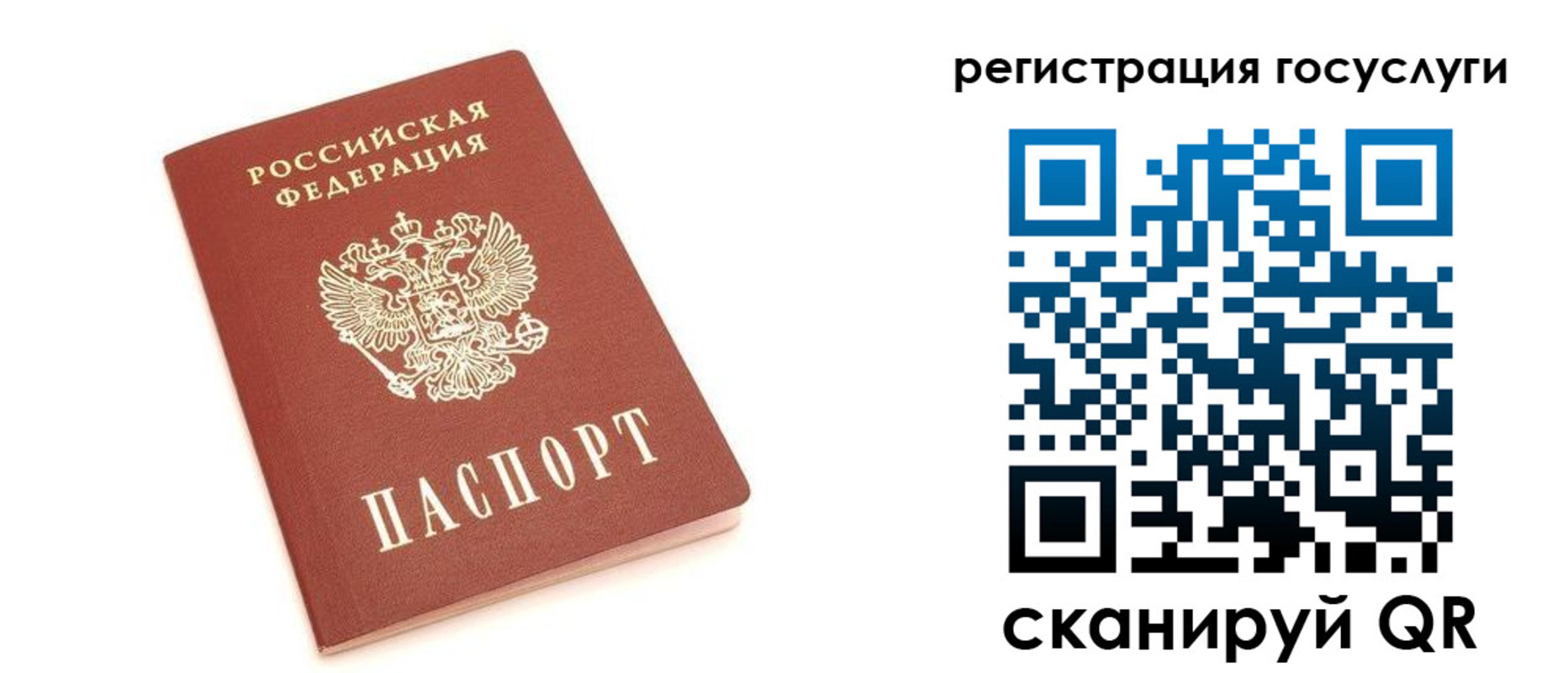 прописка 2025 в Апатитах